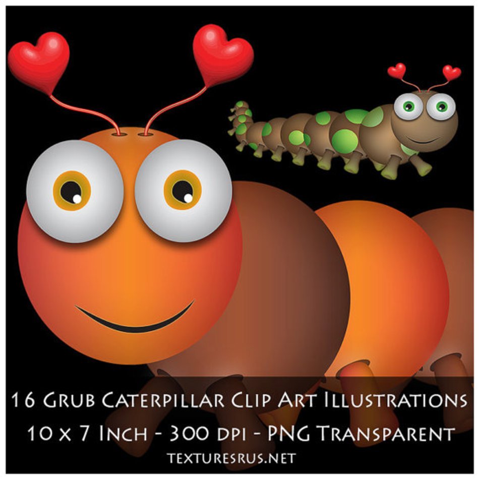 Cute Caterpillar Bug Illustrations 10 X 7 Inch 300 Dpi Png