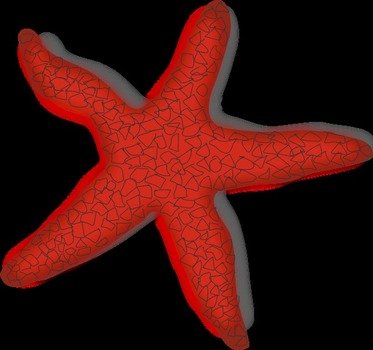 Red Starfish Vector