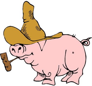 Pig N26