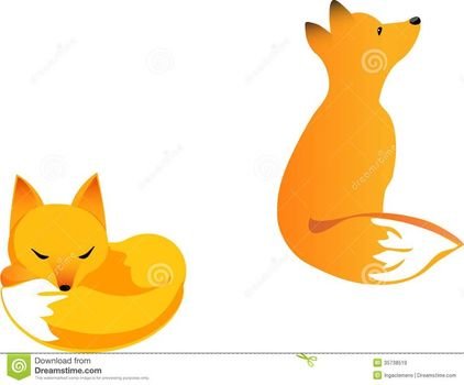 Baby Fox Cubs Dishes Pinterest N2