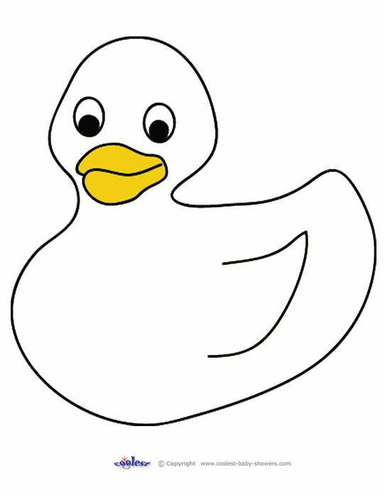 Little Ducks Printable Resources Chef Im Your
