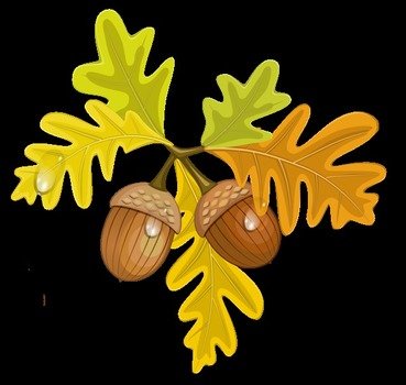 09 19 14 0337 Transparent Leaves With Acorns