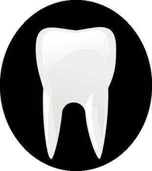 Free Vector Tooth Molar Clip Art 108140 Hightpng