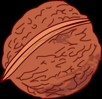 Free Walnut