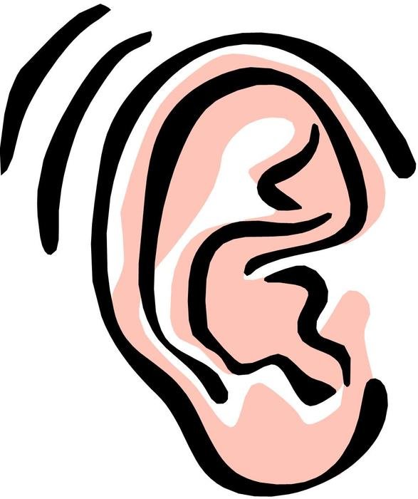 ear clipart