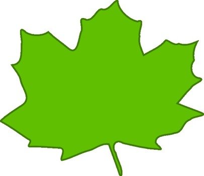 Green Leaf drawing