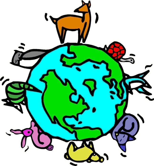 Shellys Science Spot Vocabulary Hackensack Middle School