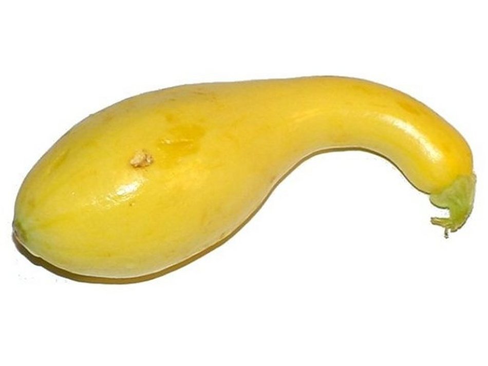 spun yellow pumpkin