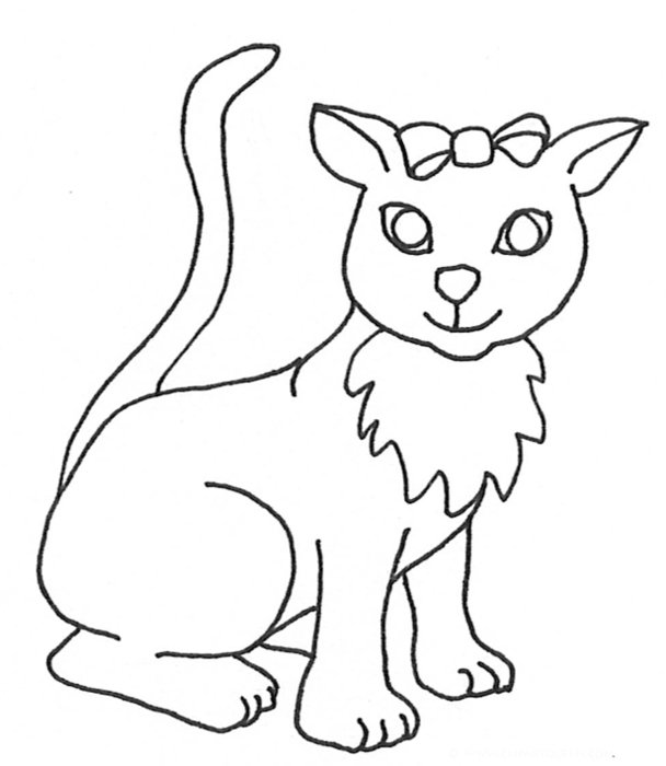 Cat Sketches Drawings And Graphics
