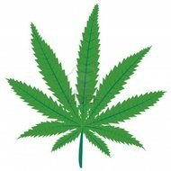 Clipart of green marijuana