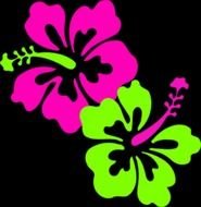 painted pink and green hibiscus