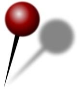Pin