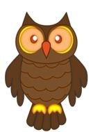 brown owl on a white background