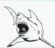 Great White Shark Tattoo By Karadarkthorn On Deviantart