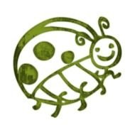 Smiley Face Ladybug Ladybugs Icon 013007 &amp;187 Icons Etc