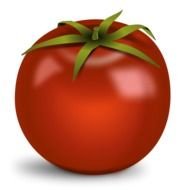 clipart of the 3d model of red tomato