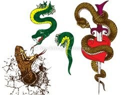 Snakes Vectors And Photoshop Brush Pack Set 1 Stockgraphicdesigns