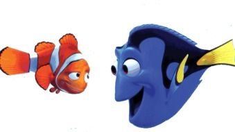 fishes drawing