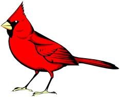 Clip art of the red bird