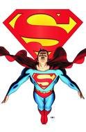 superhero flies on a white background