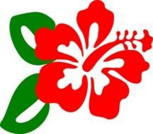 hibiscus flower N18