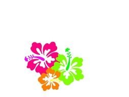 13 Lei Frees That You Can Download To Youputer