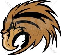 Hawk Mascot N12