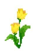 Small Yellow Flowers drawing