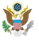 Usa Eagle Symbol drawing
