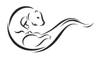 Black and white drawing of the otter clipart