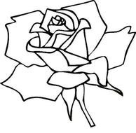 Download Pdf Coloring Page Jpg N2