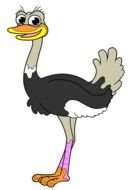 Ostrich Cartoon &ndash; Item 1 Vector Magz Free Download