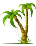 drawn two tropical palm trees on a white background