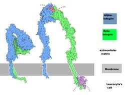 Cell Molecule Image drawing