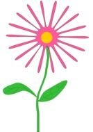 April Flowers drawing