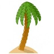 drawing palm tree with green leaves