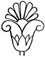 black and white lotus as a graphic image