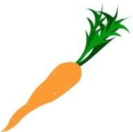 painted long orange carrot