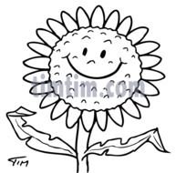 Sunflower Smiley Face Bw &bull; Climate &amp; Nature Timtim