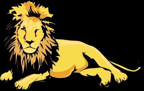 drawing of a lion on a black background
