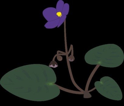 Saintpaulia Graphic Flower Vector Online Royalty