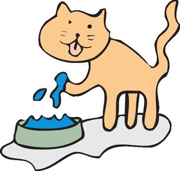 Cat Drinking At Clkercom Vector Online Royalty