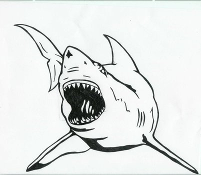 Great White Shark Tattoo By Karadarkthorn On Deviantart