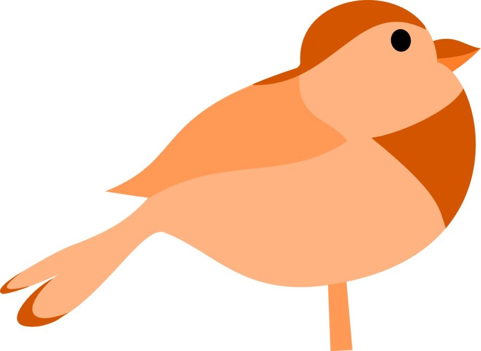 cartoon bird in shades of brown
