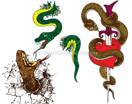 Snakes Vectors And Photoshop Brush Pack Set 1 Stockgraphicdesigns