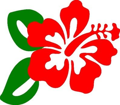 hibiscus flower N18