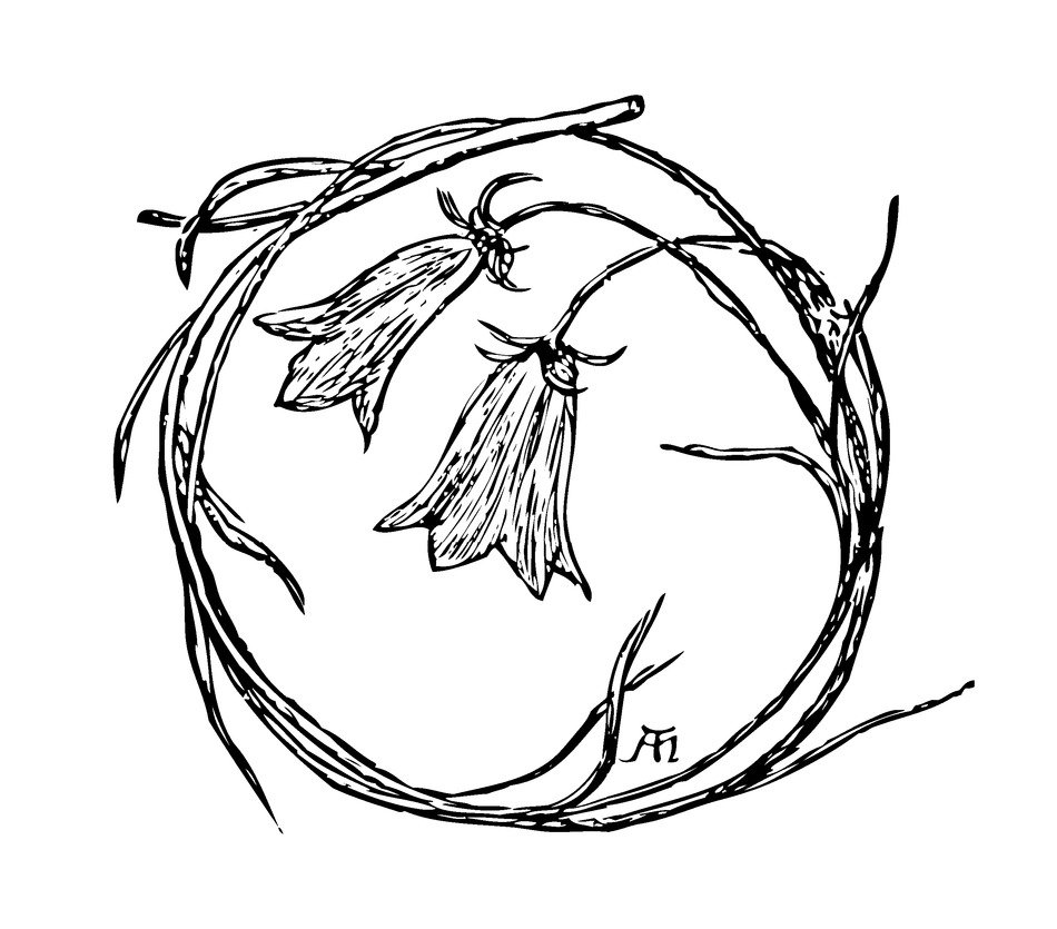 flowers as a composition in a wreath