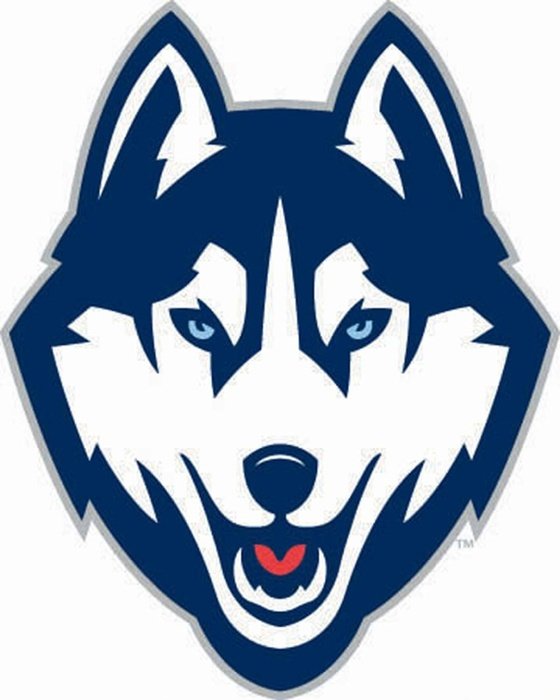 logo in the form of a wolf's head on a white background