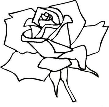 Download Pdf Coloring Page Jpg N2