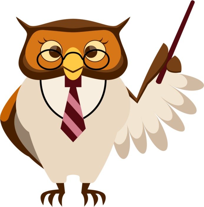 Teacher Owl Free Car Tuning